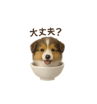 お茶碗犬 おちゃわんわん コリー（個別スタンプ：27）