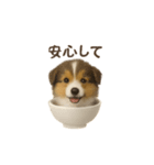 お茶碗犬 おちゃわんわん コリー（個別スタンプ：28）