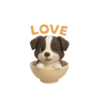 お茶碗犬 おちゃわんわん コリー（個別スタンプ：38）