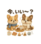 ふわふわコーギーの冬スタンプ（個別スタンプ：5）
