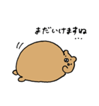 くまちゃんぷれみあむ3（個別スタンプ：22）