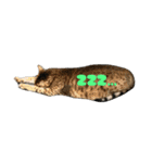 なかよし3にゃんず(あいさつ)（個別スタンプ：22）
