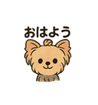 愛らしいヨークシャテリア（個別スタンプ：1）