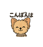 愛らしいヨークシャテリア（個別スタンプ：2）