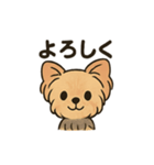 愛らしいヨークシャテリア（個別スタンプ：4）