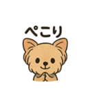 愛らしいヨークシャテリア（個別スタンプ：10）