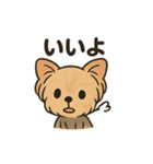 愛らしいヨークシャテリア（個別スタンプ：12）
