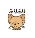 愛らしいヨークシャテリア（個別スタンプ：13）