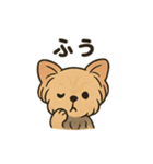 愛らしいヨークシャテリア（個別スタンプ：14）