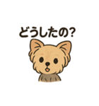 愛らしいヨークシャテリア（個別スタンプ：16）