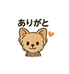 愛らしいヨークシャテリア（個別スタンプ：18）
