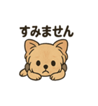 愛らしいヨークシャテリア（個別スタンプ：20）