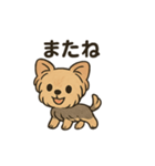 愛らしいヨークシャテリア（個別スタンプ：22）
