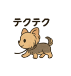 愛らしいヨークシャテリア（個別スタンプ：23）