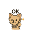愛らしいヨークシャテリア（個別スタンプ：24）