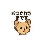 愛らしいヨークシャテリア（個別スタンプ：25）