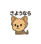 愛らしいヨークシャテリア（個別スタンプ：27）