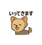 愛らしいヨークシャテリア（個別スタンプ：28）