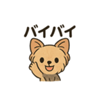 愛らしいヨークシャテリア（個別スタンプ：29）