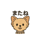 愛らしいヨークシャテリア（個別スタンプ：30）