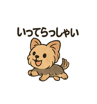 愛らしいヨークシャテリア（個別スタンプ：31）