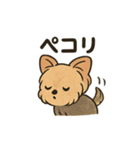 愛らしいヨークシャテリア（個別スタンプ：32）