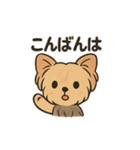 愛らしいヨークシャテリア（個別スタンプ：33）