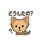 愛らしいヨークシャテリア（個別スタンプ：34）