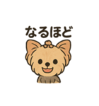 愛らしいヨークシャテリア（個別スタンプ：35）