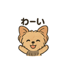 愛らしいヨークシャテリア（個別スタンプ：36）