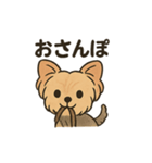 愛らしいヨークシャテリア（個別スタンプ：37）
