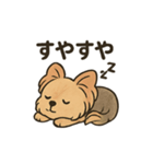 愛らしいヨークシャテリア（個別スタンプ：40）