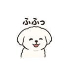 ゆるふわマルチーズのスタンプ（個別スタンプ：7）