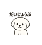 ゆるふわマルチーズのスタンプ（個別スタンプ：10）