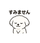 ゆるふわマルチーズのスタンプ（個別スタンプ：14）