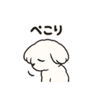 ゆるふわマルチーズのスタンプ（個別スタンプ：17）