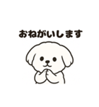 ゆるふわマルチーズのスタンプ（個別スタンプ：20）