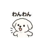 ゆるふわマルチーズのスタンプ（個別スタンプ：21）