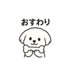 ゆるふわマルチーズのスタンプ（個別スタンプ：25）
