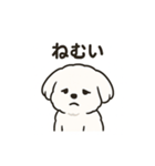 ゆるふわマルチーズのスタンプ（個別スタンプ：27）