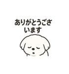 ゆるふわマルチーズのスタンプ（個別スタンプ：28）