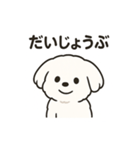 ゆるふわマルチーズのスタンプ（個別スタンプ：29）