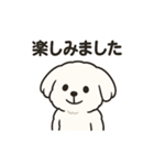 ゆるふわマルチーズのスタンプ（個別スタンプ：32）