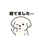 ゆるふわマルチーズのスタンプ（個別スタンプ：33）
