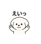 ゆるふわマルチーズのスタンプ（個別スタンプ：37）