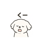 ゆるふわマルチーズのスタンプ（個別スタンプ：38）