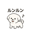 ゆるふわマルチーズのスタンプ（個別スタンプ：39）