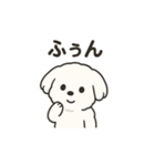 ゆるふわマルチーズのスタンプ（個別スタンプ：40）