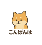 ゆるっと使える柴犬スタンプ40種。（個別スタンプ：3）