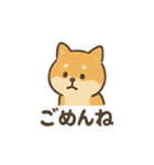 ゆるっと使える柴犬スタンプ40種。（個別スタンプ：4）